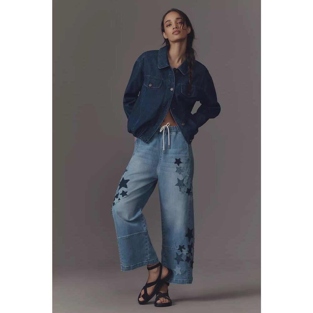 nwt ANTHROPOLOGIE PILCRO sz M The Izzie Pull-On Barrel Jeans w star applique - Picture 3 of 7